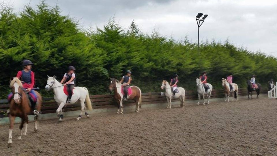gallery_lessons Horse Riding Centre Dublin, riding lessons, livery